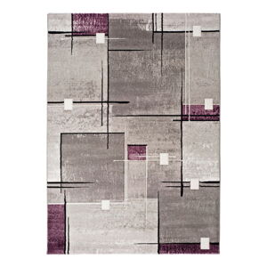 Šedo-fialový koberec Universal Detroit, 200 x 290 cm