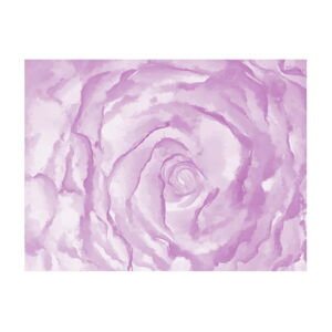Velkoformátová tapeta Artgeist Pinky Rose, 400 x 309 cm