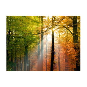 Velkoformátová tapeta Artgeist Beautiful Autumn, 400 x 309 cm