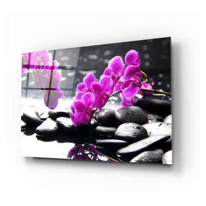 Skleněný obraz Insigne Orchid