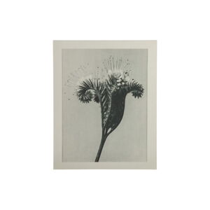Béžovo-šedý obraz BePureHome Artwork Meadow
