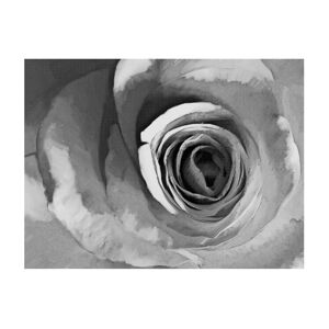 Velkoformátová tapeta Artgeist Paper Rose, 400 x 309 cm