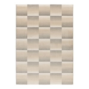 Šedo-krémový koberec 160x230 cm Sensation – Universal